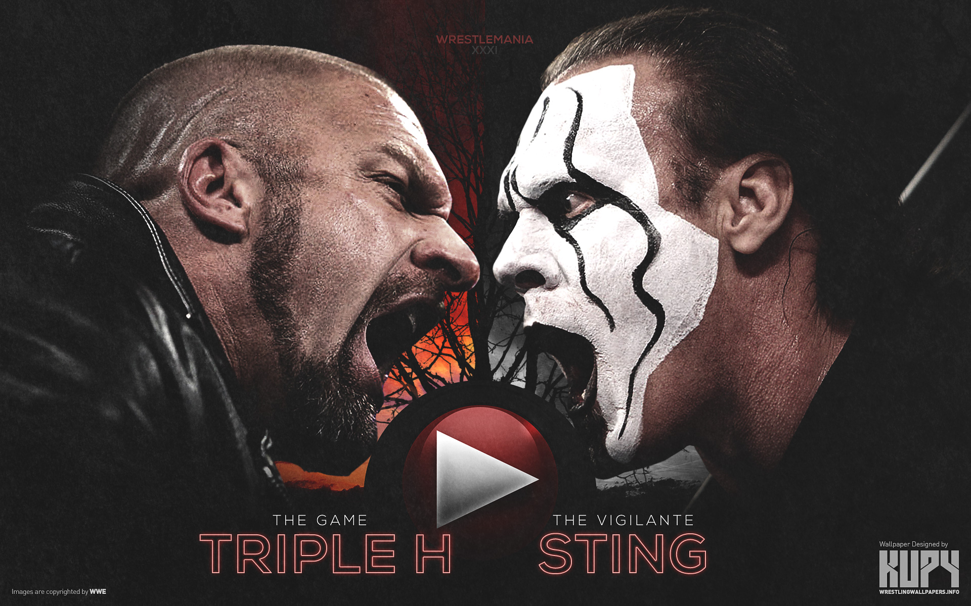 wrestlemania 31 undertaker vs sting